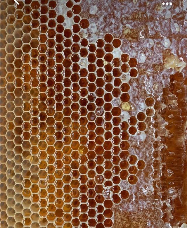 Extracción